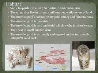 HabitatSnow leopards live mostly in northern and central Asia. The range they live in covers 2 million square kilometers of land.The snow leopard’s habitat is very cold, snowy and mountainous.The snow leopard is terrestrial. The snow leopard is very territorial which is why it is rarely seen.They nest in small ,hidden densThe snow leopard is extremely endangered and its fur is made into purses and coats