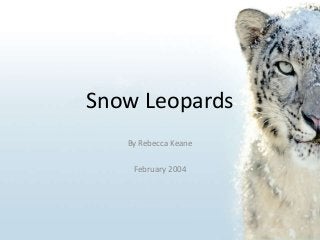 Snow Leopards
By Rebecca Keane
February 2004

 