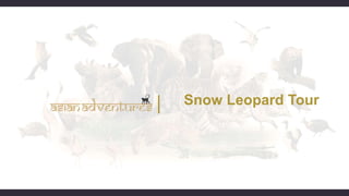 Snow Leopard Tour
 