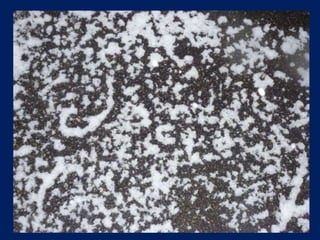 Snow On A Winter Night