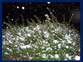 Snow On A Winter Night