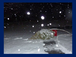 Snow On A Winter Night