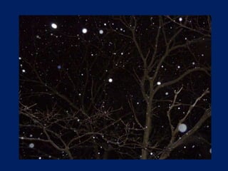 Snow On A Winter Night