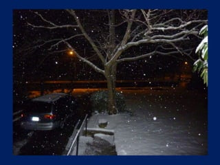 Snow On A Winter Night