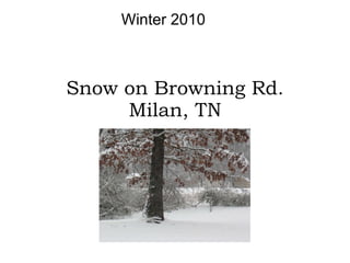 Snow on Browning Rd. Milan, TN Winter 2010 