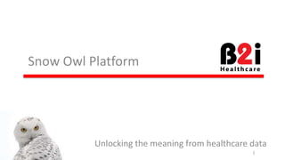 Snow 
Owl 
Pla*orm 
Unlocking 
the 
meaning 
from 
healthcare 
data 
Brandon 
Ulrich, 
Orsolya 
Bali 
31st 
October 
2014 
1 
 