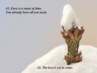 41. Envy is a waste of time.
You already have all you need.
42. The best is yet to come.
 