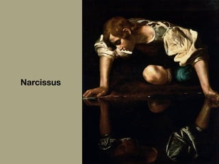 Narcissus
 