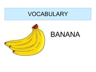 VOCABULARY BANANA