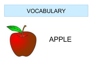 APPLE VOCABULARY