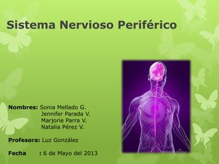 Sistema Nervioso Periférico
Nombres: Sonia Mellado G.
Jennifer Parada V.
Marjorie Parra V.
Natalia Pérez V.
Profesora: Luz González
Fecha : 6 de Mayo del 2013
 