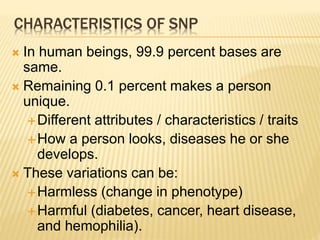 Snp Slender SNP | PPTX
