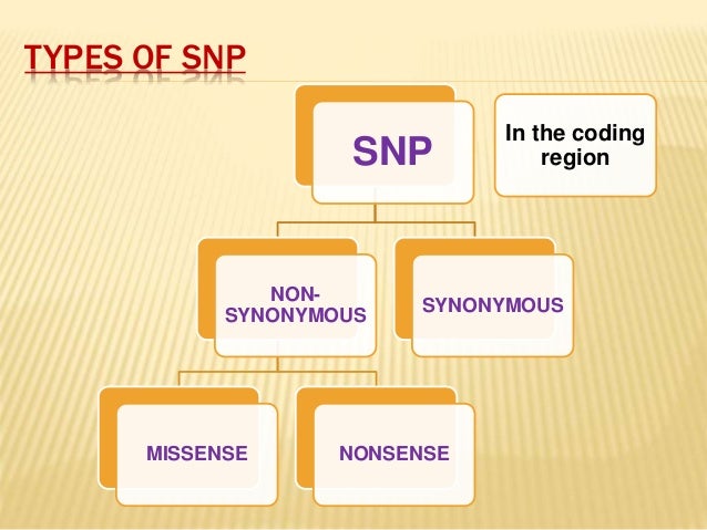 Snp Computer What Is A Snp _ Système Nerveux Périphérique Anatomie – DWXH