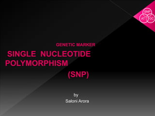 GENETIC MARKER
SINGLE NUCLEOTIDE
POLYMORPHISM
(SNP)
by
Saloni Arora
SNP
GCAT
 