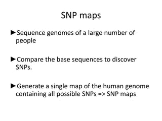 Snp Map Snp | PPTX