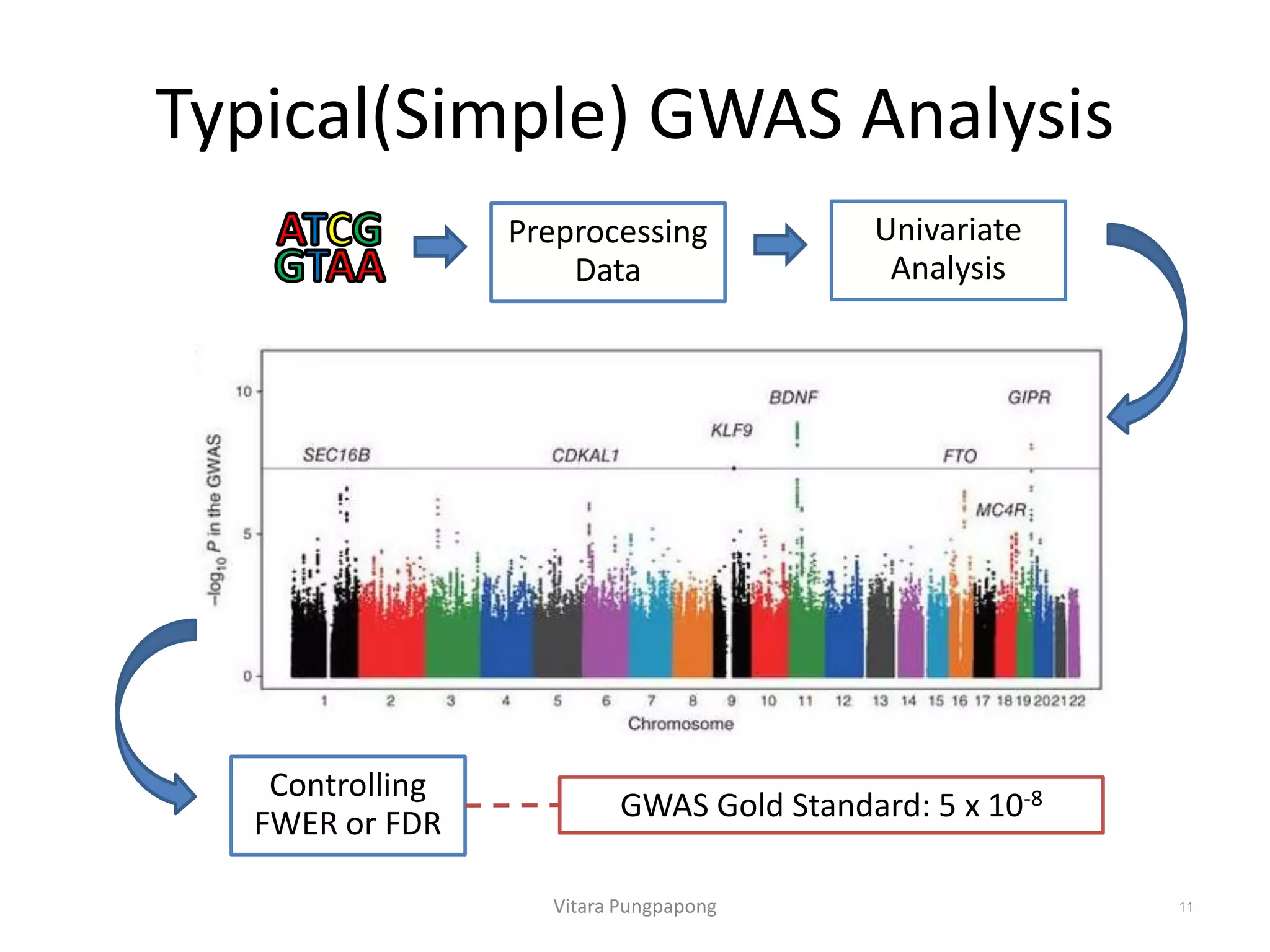 Typical(Simple) GWAS Analysis
Vitara Pungpapong 11
Preprocessing
Data
Univariate
Analysis
Controlling
FWER or FDR
GWAS Gold Standard: 5 x 10-8
 