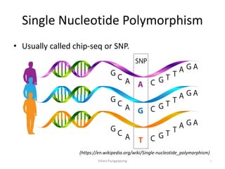 Single Nucleotide Polymorphism
• Usually called chip-seq or SNP.
Vitara Pungpapong 4
(https://en.wikipedia.org/wiki/Single-nucleotide_polymorphism)
 