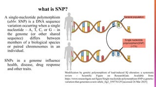 SNP Mapping Diseases Lifesciences And Genetics PPTX
