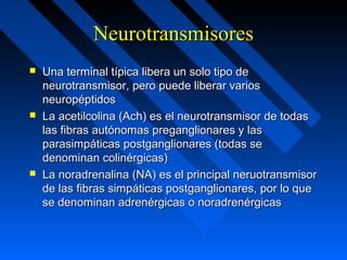 NeurotransmisoresNeurotransmisores
 Una terminal típica libera un solo tipo deUna terminal típica libera un solo tipo de
neurotransmisor, pero puede liberar variosneurotransmisor, pero puede liberar varios
neuropéptidosneuropéptidos
 La acetilcolina (Ach) es el neurotransmisor de todasLa acetilcolina (Ach) es el neurotransmisor de todas
las fibras autónomas preganglionares y laslas fibras autónomas preganglionares y las
parasimpáticas postganglionares (todas separasimpáticas postganglionares (todas se
denominan colinérgicas)denominan colinérgicas)
 La noradrenalina (NA) es el principal neruotransmisorLa noradrenalina (NA) es el principal neruotransmisor
de las fibras simpáticas postganglionares, por lo quede las fibras simpáticas postganglionares, por lo que
se denominan adrenérgicas o noradrenérgicasse denominan adrenérgicas o noradrenérgicas
 