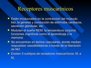 Receptores muscarínicosReceptores muscarínicos
 Están involucrados en la contracción del músculoEstán involucrados en la contracción del músculo
liso, la génesis y conducción de estímulos cardiacos,liso, la génesis y conducción de estímulos cardiacos,
secreción glandular, etcsecreción glandular, etc
 Modulan el sueño REM, la temperatura corporal,Modulan el sueño REM, la temperatura corporal,
funciones cognitivas como el aprendizaje y lafunciones cognitivas como el aprendizaje y la
memoriamemoria
 Se encuentran en lechos vasculares, donde medianSe encuentran en lechos vasculares, donde median
respuestas vasodilatadoras a través de la liberaciónrespuestas vasodilatadoras a través de la liberación
de NOde NO
 Existen 5 subtipos de receptores muscarínicos: MExisten 5 subtipos de receptores muscarínicos: M11 aa
MM55
 