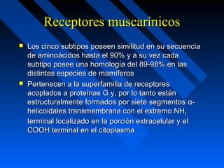 Receptores muscarínicosReceptores muscarínicos
 Los cinco subtipos poseen similitud en su secuenciaLos cinco subtipos poseen similitud en su secuencia
de aminoácidos hasta el 90% y a su vez cadade aminoácidos hasta el 90% y a su vez cada
subtipo posee una homología del 89-98% en lassubtipo posee una homología del 89-98% en las
distintas especies de mamíferosdistintas especies de mamíferos
 Pertenecen a la superfamilia de receptoresPertenecen a la superfamilia de receptores
acoplados a proteínas G y, por lo tanto estánacoplados a proteínas G y, por lo tanto están
estructuralmente formados por siete segmentosestructuralmente formados por siete segmentos α-α-
helicoidales transmembrana con el extremo NHhelicoidales transmembrana con el extremo NH22
terminal localizado en la porción extracelular y elterminal localizado en la porción extracelular y el
COOH terminal en el citoplasmaCOOH terminal en el citoplasma
 