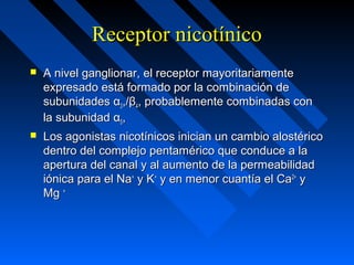 Receptor nicotínicoReceptor nicotínico
 A nivel ganglionar, el receptor mayoritariamenteA nivel ganglionar, el receptor mayoritariamente
expresado está formado por la combinación deexpresado está formado por la combinación de
subunidadessubunidades αα33,/β,/β44, probablemente combinadas con, probablemente combinadas con
la subunidadla subunidad αα55,,
 Los agonistas nicotínicos inician un cambio alostéricoLos agonistas nicotínicos inician un cambio alostérico
dentro del complejo pentamérico que conduce a ladentro del complejo pentamérico que conduce a la
apertura del canal y al aumento de la permeabilidadapertura del canal y al aumento de la permeabilidad
iónica para el Naiónica para el Na++
y Ky K++
y en menor cuantía el Cay en menor cuantía el Ca2+2+
yy
MgMg ++
 