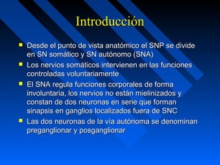 IntroducciónIntroducción
 Desde el punto de vista anatómico el SNP se divideDesde el punto de vista anatómico el SNP se divide
en SN somático y SN autónomo (SNA)en SN somático y SN autónomo (SNA)
 Los nervios somáticos intervienen en las funcionesLos nervios somáticos intervienen en las funciones
controladas voluntariamentecontroladas voluntariamente
 El SNA regula funciones corporales de formaEl SNA regula funciones corporales de forma
involuntaria, los nervios no están mielinizados yinvoluntaria, los nervios no están mielinizados y
constan de dos neuronas en serie que formanconstan de dos neuronas en serie que forman
sinapsis en ganglios localizados fuera de SNCsinapsis en ganglios localizados fuera de SNC
 Las dos neuronas de la vía autónoma se denominanLas dos neuronas de la vía autónoma se denominan
preganglionar y posganglionarpreganglionar y posganglionar
 