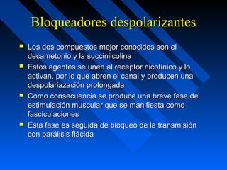 Bloqueadores despolarizantesBloqueadores despolarizantes
 Los dos compuestos mejor conocidos son elLos dos compuestos mejor conocidos son el
decametonio y la succinilcolinadecametonio y la succinilcolina
 Estos agentes se unen al receptor nicotínico y loEstos agentes se unen al receptor nicotínico y lo
activan, por lo que abren el canal y producen unaactivan, por lo que abren el canal y producen una
despolariazación prolongadadespolariazación prolongada
 Como consecuencia se produce una breve fase deComo consecuencia se produce una breve fase de
estimulación muscular que se manifiesta comoestimulación muscular que se manifiesta como
fasciculacionesfasciculaciones
 Esta fase es seguida de bloqueo de la transmisiónEsta fase es seguida de bloqueo de la transmisión
con parálisis flácidacon parálisis flácida
 