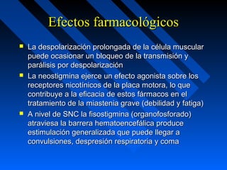 Efectos farmacológicosEfectos farmacológicos
 La despolarización prolongada de la célula muscularLa despolarización prolongada de la célula muscular
puede ocasionar un bloqueo de la transmisión ypuede ocasionar un bloqueo de la transmisión y
parálisis por despolarizaciónparálisis por despolarización
 La neostigmina ejerce un efecto agonista sobre losLa neostigmina ejerce un efecto agonista sobre los
receptores nicotínicos de la placa motora, lo quereceptores nicotínicos de la placa motora, lo que
contribuye a la eficacia de estos fármacos en elcontribuye a la eficacia de estos fármacos en el
tratamiento de la miastenia grave (debilidad y fatiga)tratamiento de la miastenia grave (debilidad y fatiga)
 A nivel de SNC la fisostigmina (organofosforado)A nivel de SNC la fisostigmina (organofosforado)
atraviesa la barrera hematoencefálica produceatraviesa la barrera hematoencefálica produce
estimulación generalizada que puede llegar aestimulación generalizada que puede llegar a
convulsiones, despresión respiratoria y comaconvulsiones, despresión respiratoria y coma
 