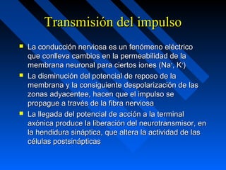 Transmisión del impulsoTransmisión del impulso
 La conducción nerviosa es un fenómeno eléctricoLa conducción nerviosa es un fenómeno eléctrico
que conlleva cambios en la permeabilidad de laque conlleva cambios en la permeabilidad de la
membrana neuronal para ciertos iones (Namembrana neuronal para ciertos iones (Na++
, K, K++
))
 La disminución del potencial de reposo de laLa disminución del potencial de reposo de la
membrana y la consiguiente despolarización de lasmembrana y la consiguiente despolarización de las
zonas adyacentee, hacen que el impulso sezonas adyacentee, hacen que el impulso se
propague a través de la fibra nerviosapropague a través de la fibra nerviosa
 La llegada del potencial de acción a la terminalLa llegada del potencial de acción a la terminal
axónica produce la liberación del neurotransmisor, enaxónica produce la liberación del neurotransmisor, en
la hendidura sináptica, que altera la actividad de lasla hendidura sináptica, que altera la actividad de las
células postsinápticascélulas postsinápticas
 