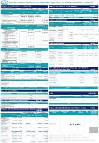 SOCIÉTÉ NATIONALE D’ELECTROLYSE ET DE PÉTROCHIMIE - Siège Social : 233, Boulevard Mohamed V – Casablanca

    TABLEAU DE FINANCEMENT DE L’EXERCICE                                                                                                                             TABLEAU DES TITRES DE PARTICIPATION			                                                                                             ETAT B4
    MODÈLE NORMAL
I. SYNTHÈSE DES MASSES DU BILAN	                                    PÉRIODE DU                01.01.2011 	              AU	              31.11.2011	                                                                                            		                         Au 	                      31.12.2011
                                                                                                                                                                                        Secteur                        Participation     Prix                              Extrait des derniers états de             Produits inscrits
                                                                                                                                   Variations a-b                    Raison                                                                           Valeur comp-       synthèse de la société émettrice
                                                                                                                                                                                       d’activité        Capital            au       d’acquisition                                                                     au C.P.C de
                                                                                                                                                                     sociale de                                                                        table nette    Date de                     Résiltat net
                                                                                                                                                                                                         social         capital %       global                                  Situation nette                         l’exercice
                                                                      Exercice           Exercice précédent             Emplois                 Ressources           la société                                                                                       clôture
                           Masses                                         a                        b                      C                         D                émettrice
                                                                                                                                                                                            1                 2             3               4
                                                                                                                                                                                                                                                           5             6
                                                                                                                                                                                                                                                                                       7
                                                                                                                                                                                                                                                                                                        8                   9
    1 Financement Permanent                                        629 063 110,11         633 658 743,82               4 595 633,71                                 YNNA AIR                              100 000,00        99,00%      99 000,00      99 000,00                                                        en sommeil
    2 Actif immobilisé                                             688 727 575,83         660 439 282,12              28 288 293,71                                 HOUDA PLAST       INDUSTRIEL       22 948 196,80       100,00% 22 948 196,80                                                                        en sommeil
      = Fonds de Roulement Fonctionnel                                                                                                                              DIMATIT           INDUSTRIEL      104 029 500,00        34,00% 231 843 610,35 231 843 610,35 31/12/11 231 303 965,63 23 489 741,59
    3                                                              -59 664 465,72         -26 780 538,30              32 883 927,42
                                  (1-2) (A)
    4 Actif circulant                                              614 142 501,85         626 389 223,57                                        12 246 721,72                 TOTAL                   127 077 696,80                 254 890 807,15 231 942 610,35                 231 303 965,63 23 489 741,59

    5    Passif circulant                                          225 673 516,01         206 363 282,39                                        19 310 233,62

    6
         = Besoin de Financement global
                                                                   388 468 985,84        420 025 941,18                                         31 556 955,34
                                                                                                                                                                     TABLEAU DES CRÉANCES					ETAT B6
                                     (4-5)                 (B)
         TRESORERIE NETTE (Actif-Passif)
                                                                                                                                                                                                                                                		                         Au 	                      31.12.2011
    7                                                             -448 133 451,56 -446 806 479,48                                                1 326 972,08                                                                ANALYSE PAR ECHEANCE                                  AUTRES ANALYSES
                                                       = A-B
I. EMPLOIS ET RESSOURCES	                                                                                                                                                                                                                                                   Montants sur Montants sur                   Montants
                                                                                                                                                                     CREANCES                         TOTAL
                                                                                                                                                                                                                    Plus d’un an    Moins d’un an
                                                                                                                                                                                                                                                  Echues et non Montants en
                                                                                                                                                                                                                                                                            l’Etat et Org. les entreprises             représentés
                                                                                                                                                                                                                                                   recouvrées    devises
                                                                                                                                                                                                                                                                                Publics         liées                   par effets
                                                                                  EXERCICE                                    EXERCICE PRÉCÉDENT
                                                                                                                                                                    DE L'ACTIF IMMOBILISE       151 121 589,35
                     I RESSOURCES STABLES                              EMPLOIS                RESSOURCES               EMPLOIS                  RESSOURCES
                     DE L’EXERCICE (FLUX)                                                                                                                           • Prêts immobilisés              1 698 287,48    1 698 287,48
                                                                                                                                                                    • Autres créances
        * AUTOFINANCEMENT                      (A)                                           26 157 914,80                                      56 382 251,84                                   149 423 301,87 149 423 301,87                                      22 361 705,49     6 126 511,64    119 493 255,59
                                                                                                                                                                    financières
              + Capacité d’autofinancement                                                   55 921 180,80                                      93 809 435,84       DE L’ACTIF CIRCULANT        417 414 473,28
              - Distribution de bénéfices                           29 763 266,00                                     37 427 184,00
        CESSIONS ET RÉDUCTIONS                                                                                                                                      • Fournisseurs débiteurs
                                                                                             30 371 386,89                                   191 705 967,97                                           419 500,10                       419 500,10
        D’IMMOBILISATIONS                      (B)                                                                                                                  avances et acomptes
              + Cessions d'immobilisations                                                                                                                          • Clients et comptes
                 incorporelles                                                                                                                                                                  274 183 795,93                      262 306 801,39 11 876 994,54      420 951,19 11 557 262,85       127 451 738,45 91 410 614,41
                                                                                                                                                                    rattachés
              + Cessions d'immobilisations
                                                                                             30 360 787,83                                                          • Personnel                        490 630,16                       490 630,16
                corporelles
              + Cessions d'immobilisations                                                                                                                          • Etat                          56 438 858,20                    56 438 858,20                                  56 438 858,20
                financières                                                                                                                                         * Compte d'associés
              + Réductions d'immobilisations                                                                                                                        • Autres débiteurs              83 705 800,00                    83 705 800,00                                                    83 688 500,00
                                                                                                  10 599,06
                 financières                                                                                                                                        • Comptes de
              + récupérations sur créances                                                                                                                                                           2 175 888,89                     2 175 888,89
                                                                                                                                             191 705 967,97          régulation-actif
                 immobilisées
        * AUGMENTATION DES CAPITAUX DES
        CAPITAUX PROPRES ET ASSIMILÉS (C)
               + Augmentation du capital ,                                                                                                                           TABLEAU DES DETTES						ETAT B7
              apports
               + Subventions d’investissement                                                                                                                                                                                                   		                         Au 	                      31.12.2011
        * AUGMENTATION DES DETTES DE                                                                                                                                                                                        ANALYSE PAR ECHEANCE                                          AUTRES ANALYSES
                                                                                             20 192 901,60
        FINANCEMENT                             (D)                                                                                                                                                                                              Echues                            Montants sur    Montants sur        Montants
        (nettes de primes de remboursement)                                                  20 192 901,60                                                           CREANCES                        TOTAL
                                                                                                                                                                                                                    Plus d’un an Moins d’un an   et non
                                                                                                                                                                                                                                                          Montants en
                                                                                                                                                                                                                                                                                   l’Etat et Org. les entreprises     représentés
                                                                                                                                                                                                                                                           devises
                      TOTAL I : RESSOURCES STABLES                                                                                                                                                                                             recouvrées                              Publics         liées           par effets
                                                                                             76 722 203,29                                   248 088 219,81
                                           (A+B+C+D)
        II EMPLOIS STABLES DE L’EXERCICE (FLUX)                                                                                                                     DE FINANCEMENT               52 164 946,47      33 308 566,51    18 856 379,96
        * ACQUISITIONS ET AUGMENTATIONS                                                                                                                             • Emprunts obligataires
                                                                    97 058 654,62                                  207 124 021,72
        D’IMMOBILISATIONS                    (E)
                                                                                                                                                                    • Autres dettes
              + Acquisition d'immobilisations                                                                                                                                                    52 164 946,47      33 308 566,51    18 856 379,96
                                                                      2 361 490,00                                    20 101 434,22                                 financières
                 incorporelles
              + Acquisition d'immobilisations                                                                                                                       DU PASSIF CIRCULANT         224 975 088,70                      224 975 088,70             64 697 000,00       81 272 958,67      8 761 247,55 2 058 136,12
                                                                    50 926 424,99                                      2 142 479,40
                corporelles                                                                                                                                         • Fournisseurs et
              + Acquisition d'immobilisations                                                                                                                                                   145 404 254,01                      145 404 254,01             64 697 000,00       23 041 596,83      8 069 532,40     2 058 136,12
                                                                    43 770 739,63                                  183 755 290,35                                   comptes rattachés
                financières
              + Augmentation d'immobilisations                                                                                                                      • Clients créditeurs,
                                                                                                                       1 124 817,75                                                                   131 343,96                        131 343,96
                 financières                                                                                                                                        avances et acomptes
        * REMBOURSEMENT DES CAPITAUX                                                                                                                                • Personnel                   5 039 278,55                        5 039 278,55
        PROPRES                               (F)                                                                                                                   • Organismes sociaux          4 228 584,12                        4 228 584,12
        * REMBOURSEMENT DES DETTES DE
                                                                      5 897 017,09                                    11 331 114,56                                 • Etat                       58 231 361,84                       58 231 361,84                                 58 231 361,84
        FINANCEMENT                           (G)
        EMPLOIS EN NON VALEURS                (H)                     6 650 459,00                                                                                  • Compte d'associés               4 748,50                            4 748,50
                           TOTAL II : EMPLOIS STABLES                                                                                                               • Autres créanciers          11 790 239,02                       11 790 239,02                                                      691 715,15
                                                                   109 606 130,71                                  218 455 136,28
                                            (E+F+G+H)                                                                                                               • Comptes de
                                                                                                                                                                                                      145 278,70                        145 278,70
        III VARIATION DU BESOIN DE FINANCEMENT                                                                                                                      régulation-passif
                                                                                             31 556 955,34            26 565 082,99
        GLOBAL (B.F.G)
        IV VARIATION DE LA TRÉSORERIE                                                      1 326 972,08              3 068 000,54
                                       TOTAL GÉNÉRAL               109 606 130,71        109 606 130,71            248 088 219,81            248 088 219,81
                                                                                                                                                                     ENGAGEMENTS FINANCIERS RECUS OU DONNES HORS
    TABLEAU DE PROVISIONS				                                                                                            ETAT B5                                     OPÉRATIONS DE CRÉDIT-BAIL				                                                                                                      ETAT B9
                                                                                Exercice du 01.01.2011                    au 	               31.12.2011
                                 Montant                         DOTATIONS                                     REPRISES                          Montant fin                                                                                    		                         Au 	                      31.12.2011
     NATURE                       début                                            Non                                            Non                                ENGAGEMENTS DONNES                                                              MONTANTS EXERCICE                    MONTANTS EXERCICE PRÉCÉDENTS
                                                d’exploitat°      financières              d’exploitat°       financières
                                 exercice                                        courantes                                      courantes           exercice
1. Provisions pour
                                                                                                                                                                     • AVALS ET CAUTIONS
dépréciation de l’actif         42 916 539,46        447 000,00                                                                                     43 363 539,46
immobilisé
                                                                                                                                                                     ADMISSION TEMPORAIRE                                                                             4 232 342,94                                    4 234 382,94
2. Provisions réglementées      98 624 269,51                                        151,70                                     14 358 444,30       84 265 976,91
lementées                                                                                                                                                            CAUTION DIVERSE                                                                                  6 911 526,00                                    2 952 476,45
3. Provisons durables pour
                              1 942 240,93                   42 735,77                            82 683,00       49 358,23                          1 852 935,47
risques et charges                                                                                                                                                   CREDIT D’ENLEVEMENT                                                                             14 000 000,00                                  14 000 000,00
            SOUS TOTAL (A) 143 483 049,90                   42 735,77               151,70       82 683,00      49 358,23 14 358 444,30          129 482 451,84
4. Provisions pour                                                                                                                                                   EXPORTATION TEMPORAIRE                                                                             585 514,00                                     585 514,00
 dépréciation de l’actif    76 662 684,99 22 583 019,32 10 821 418,78                         16 066 879,71                                         94 000 243,38
circulant (hors trésorerie)                                                                                                                                          LETTRE DE GARANTIE                                                                                 920 844,00                                     824 193,00
5. Autres Provisions pour
                               192 409,85                  132 507,31                                          192 409,85                             132 507,31     Retraites et obligations similaires
risques et charges
6. Provisions pour
dépréciation des                                                                                                                                                     •Autres engagements donnés
comptes de trésorerie
            SOUS TOTAL (B) 76 855 094,84 22 583 019,32 10 953 926,09                          16 066 879,71    192 409,85                           94 132 750,69                                                            TOTAL (1)                             26 650 226,94                                22 596 566,39
                                                                                                                                                                           (1) Dont engagements à l’égard d’entreprises LIÉES.......
                 TOTAL (A+B) 220 338 144,74 23 030 019,32 10 996 661,86             151,70 16 149 562,71       241 768,08 14 358 444,30          223 615 202,53


    ETAT DES DÉROGATIONS				                                                                                             ETAT A2
                                                                                		 au 	                                                      31.12.2011
    INDICATION DES DEROGATIONS                          JUSTIFICATION DES DEROGATIONS
                                                                                                   INFLUENCE DES DEROGATIONS, LA SITUATION                           CNC							                                                                                                                      ETAT B9 BIS
                                                                                                   FINANCIÈRE ET LES RÉSULTATS
    I. Dérogations aux principes comptables
    fondamentaux
                                                                                                   NEANT                                                                                                                                        		                         Au 	                      31.12.2011
    II. Dérogations aux méthodes d’évaluation                                                      NEANT                                                             ENGAGEMENTS REÇUS                                                               MONTANTS EXERCICE                    MONTANTS EXERCICE PRÉCÉDENTS

    III. Dérogations aux règles d’établissement et
                                                                                                   NEANT                                                            • AVALS ET CAUTIONS
    de présentation des états de synthèse
	
    ETAT DES CHANGEMENTS DE MÉTHODE		                                                                                   ETAT A3                                     • AUTRES ENGAGEMENTS REÇUS
                                                                                                                                                                    •
                                                                                		 au 	                                                      31.12.2011             •
                                                                                                   INFLUENCE SUR LE PATRIMOINE, LA SITUATION FINAN-
    NATURE DES CHANGEMENTS                              JUSTIFICATION DU CHANGEMENT
                                                                                                   CIÈRE ET LES RÉSULTATS                                                                                                           TOTAL
    I. Changements affectant les méthodes
                                                                                                   NEANT
    comptables fondamentaux
    II. Chargements affectant les règles de
                                                                                                   NEANT
    présentation
	                                                                                                                                                                    TABLEAU DES SÛRETÉS RÉELLES DONNÉES OU REÇUES	                                                                                     ETAT B8
    TABLEAU DES IMMOBILISATIONS AUTRES QUE FINANCIERS
    							ETAT B2                                                                                                                                                                                                                              		                         Au 	                      31.12.2011
                                                                                                                                                                      TIERS CREDITEURS OU TIERS              MONTANT COUVERT PAR                NATURE              DATE ET LIEU           OBJET          VALEUR COMPTABLE
                                                                           Exercice du 01.01.2011                     au 	               31.12.2011                           DÉBITEURS                           LA SÛRETÉ                       (1)              D’INSCRIPTION           (2) (3)        NETTE DE LA SÛRETÉ
                                                                  AUGMENTATION                                    DIMINUTION                                                                                                                                                                             DONNÉE À LA DATE DE
                                    Montant brut                      Product°                                                                   Montant brut                                                                                                                                                  CLÔTURE
     NATURE                           début                              par                                                                         fin
                                                        Acquisition              Virement               Cession       Retrait     Virement
                                     exercice                       l’entreprise                                                                  exercice
                                                                    elle-même
IMMOBILISATION EN
                                      13 125 000,00      6 650 459,00                                                                               19 775 459,00
NON-VALEURS
• Frais préliminaires
• Charges à répartir sur
 plusieurs exercices                     13 125 000         6 650 459                                                                                 19 775 459
• Primes de
remboursement obligations
IMMOBILISATIONS
                                 49 826 239,68 2 361 490,00                         19 868 023,94                               19 868 023,94       52 187 729,68 SÛRETÉS DONNÉES
                                                                                                                                                                                                                                         NÉANT
INCORPORELLES
• Immobilisation en recherche
et développement
• Brevets, marques, droits
et valeurs similaires            49 826 239,68       220 000                                                                    19 868 023,94       30 178 215,74
• Fonds commercial
• Autres immobilisations
incorporelles                                   2 141 490,00                         19 868 023,94                                                  22 009 513,94
IMMOBILISATIONS
                              1 304 577 508,94 50 926 424,99                          7 779 964,02 31 245 921,85                 7 779 964,02 1 324 258 012,08
CORPORELLES
• Terrains                        4 937 808,20                                                                                                       4 937 808,20
• Constructions                       60 787 837,76        481 611,21                                                                               61 269 448,97
                                                                                                                                                1 176 862 909,87 (1) - Gage :1 Hypothèque : 2 Nantissement : 3 - Warrant : 4 - Autres : 5 - (à préciser)
• Installat. techniques,
                                   1 160 719 848,10      8 388 411,68                7 779 964,02        25 313,93
matériel et outillage
• Matériel de transport               18 977 652,88         12 862,60                                  1 035 820,09                                 17 954 695,39 (2) préciser si la sûreté est donnée au profit d’entreprises ou de personnes tierces ( sûretés données)
• Mobilier, matériel bureau et                                                                                                                                    ( entreprises liées, associés, membres du personnel)
                                      12 109 048,56        132 595,25                                                                               12 241 643,81
aménagements
• Autres immobilisations
                                         153 395,21                                                                                                   153 395,21 (3) préciser si la sûreté reçue par l’entreprise provient de personnes tierces autres que le débiteur (sûretés reçues)
corporelles
• Immobilisations
corporelles en cours                  46 891 918,23 41 910 944,25                                    30 184 787,83               7 779 964,02       50 838 110,63
 