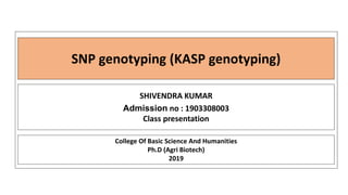 SNP genotyping (KASP genotyping)
SHIVENDRA KUMAR
Admission no : 1903308003
Class presentation
College Of Basic Science And Humanities
Ph.D (Agri Biotech)
2019
 