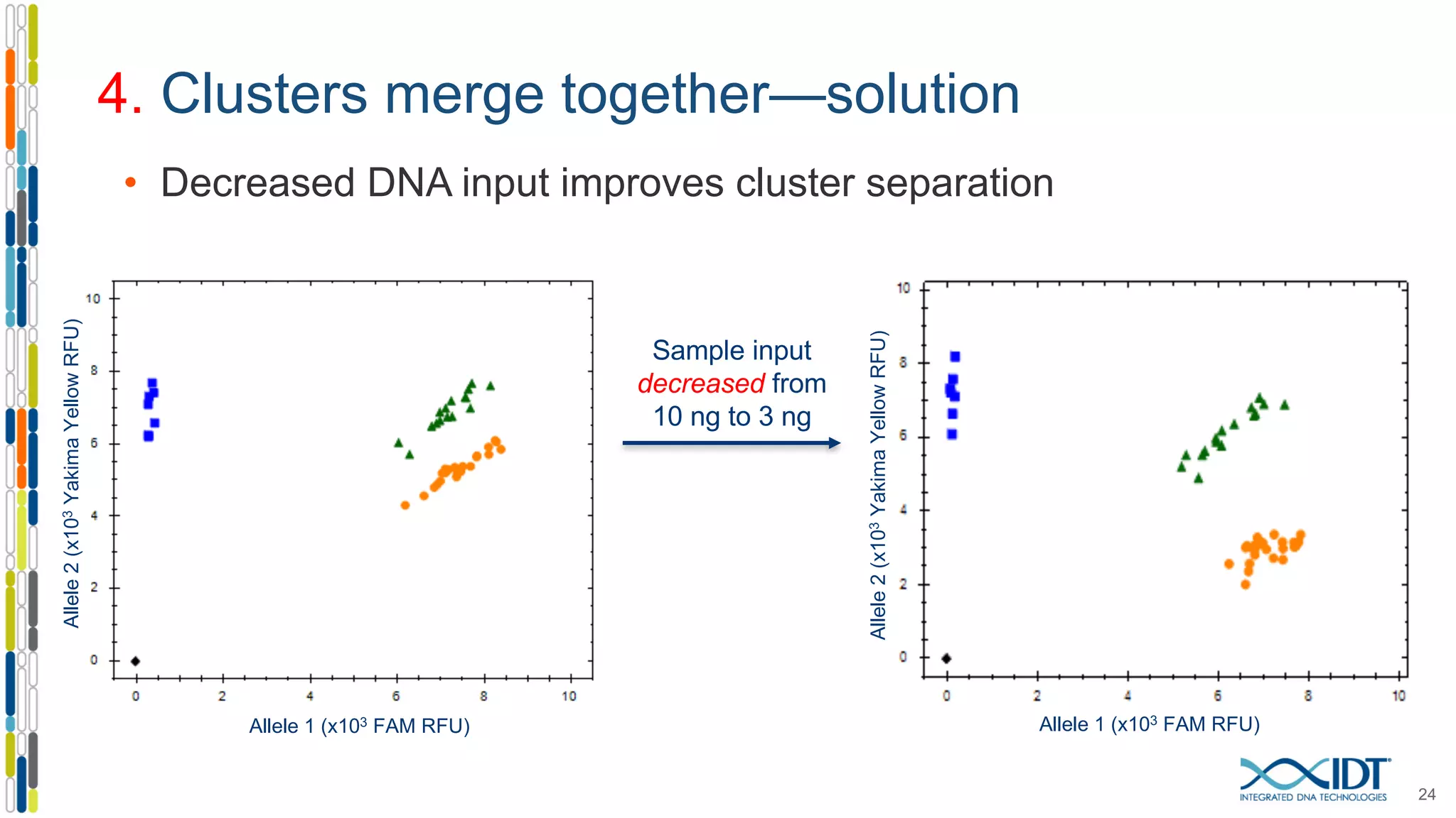 4. Clusters merge together—solution
Sample input
decreased from
10 ng to 3 ng
• Decreased DNA input improves cluster separation
Allele2(x103YakimaYellowRFU)
Allele2(x103YakimaYellowRFU)
Allele 1 (x103 FAM RFU) Allele 1 (x103 FAM RFU)
24
 