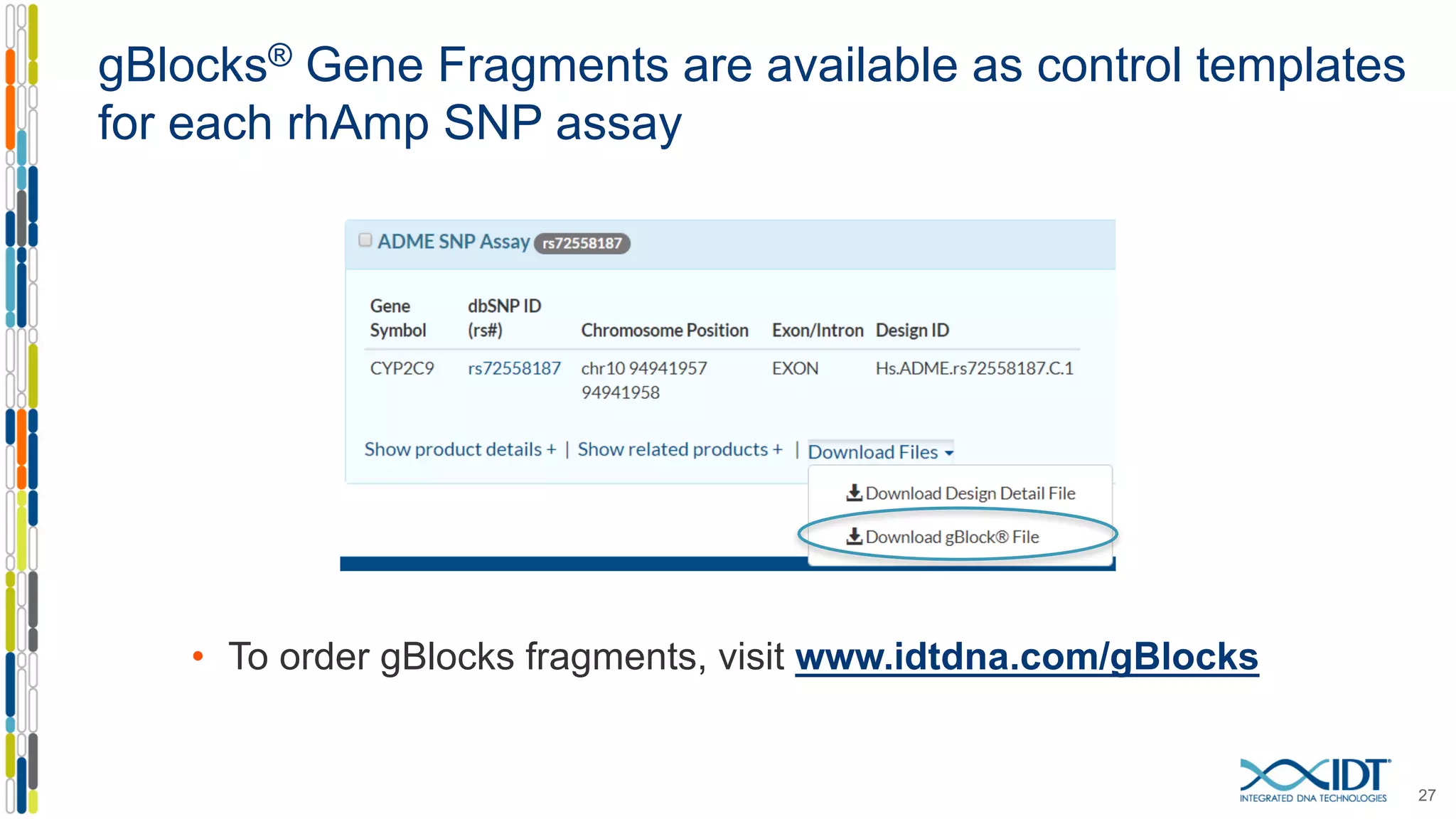 gBlocks® Gene Fragments are available as control templates
for each rhAmp SNP assay
• To order gBlocks fragments, visit www.idtdna.com/gBlocks
27
 