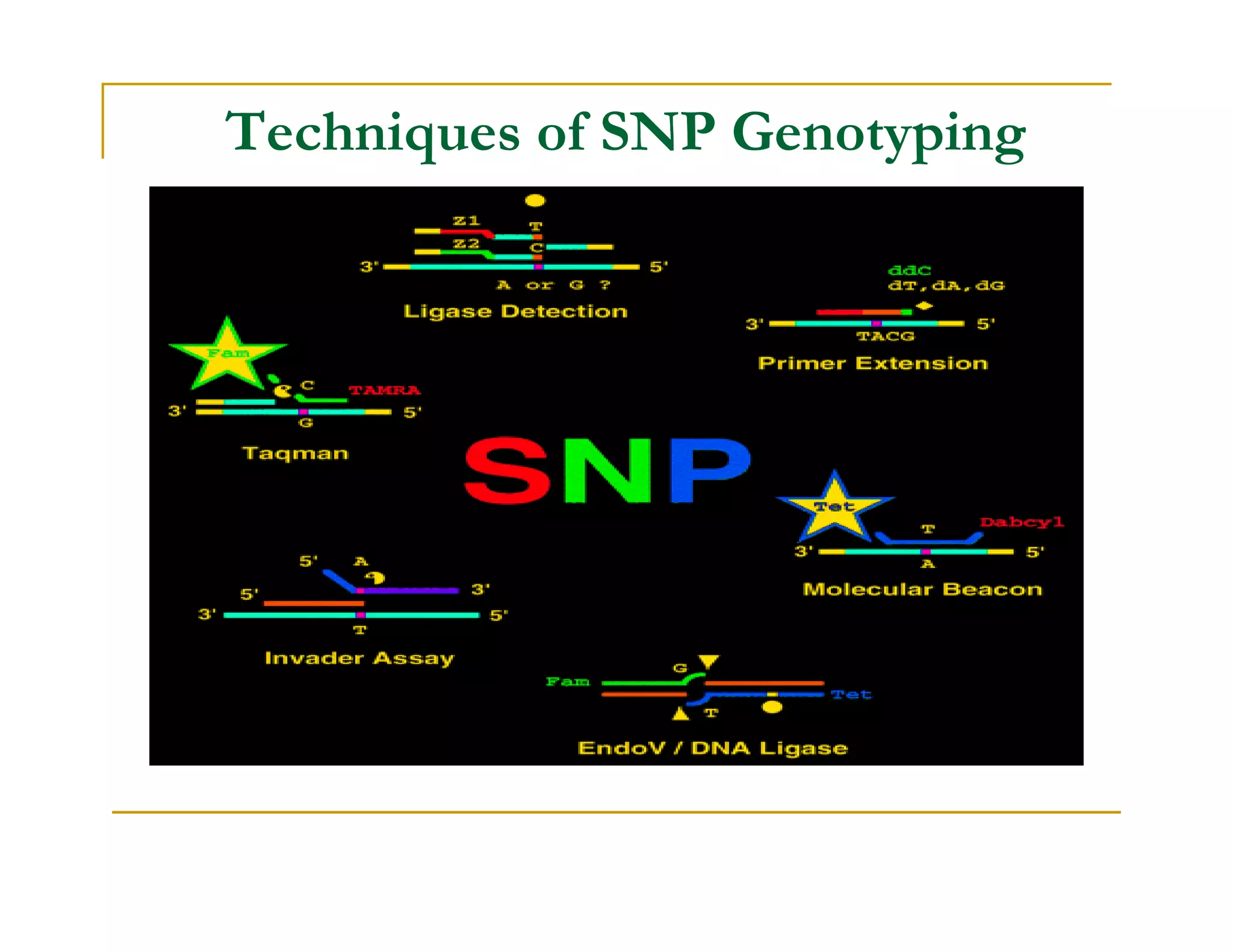 SNP Genotyping Technologies | PDF