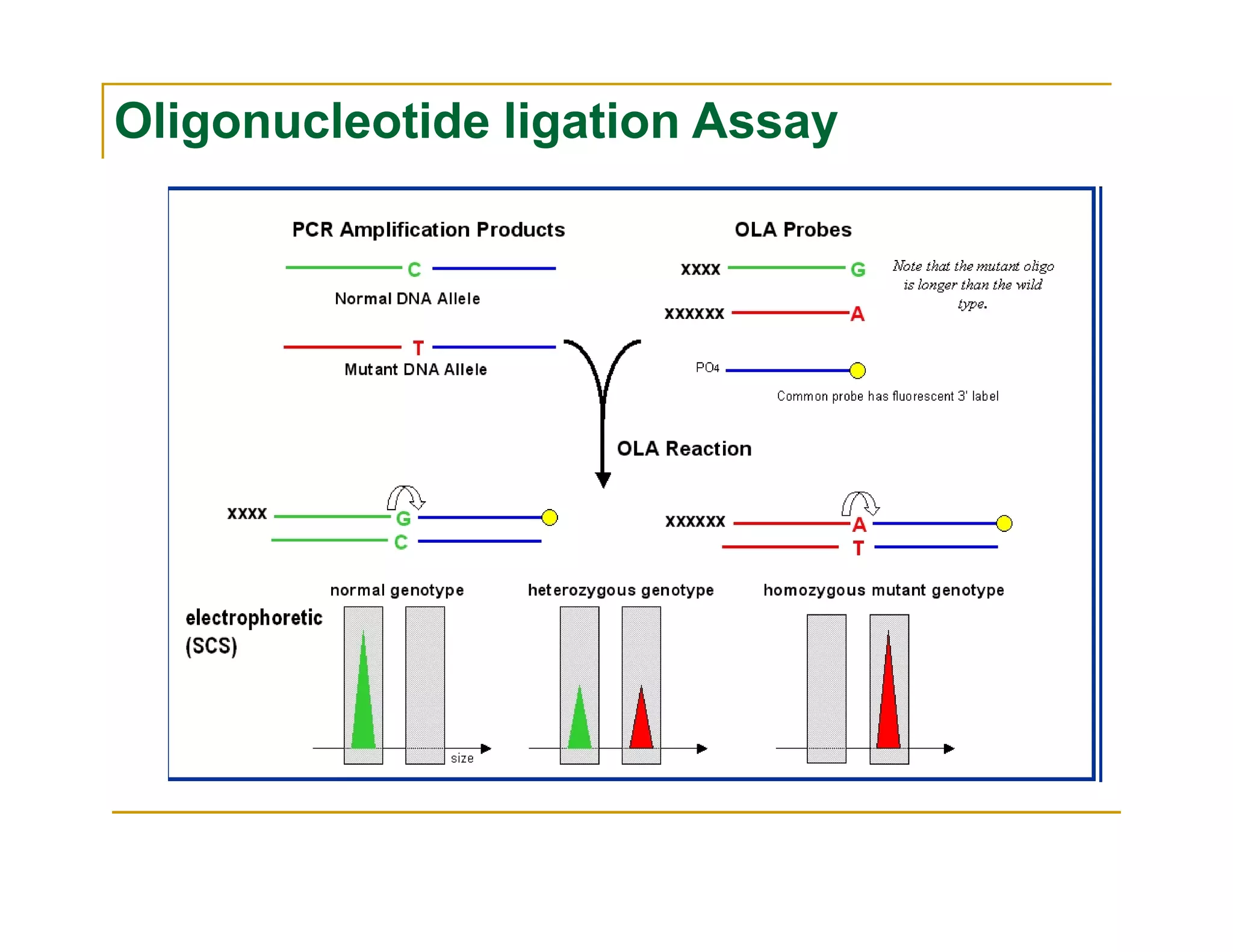 Oligonucleotide ligation Assay
 