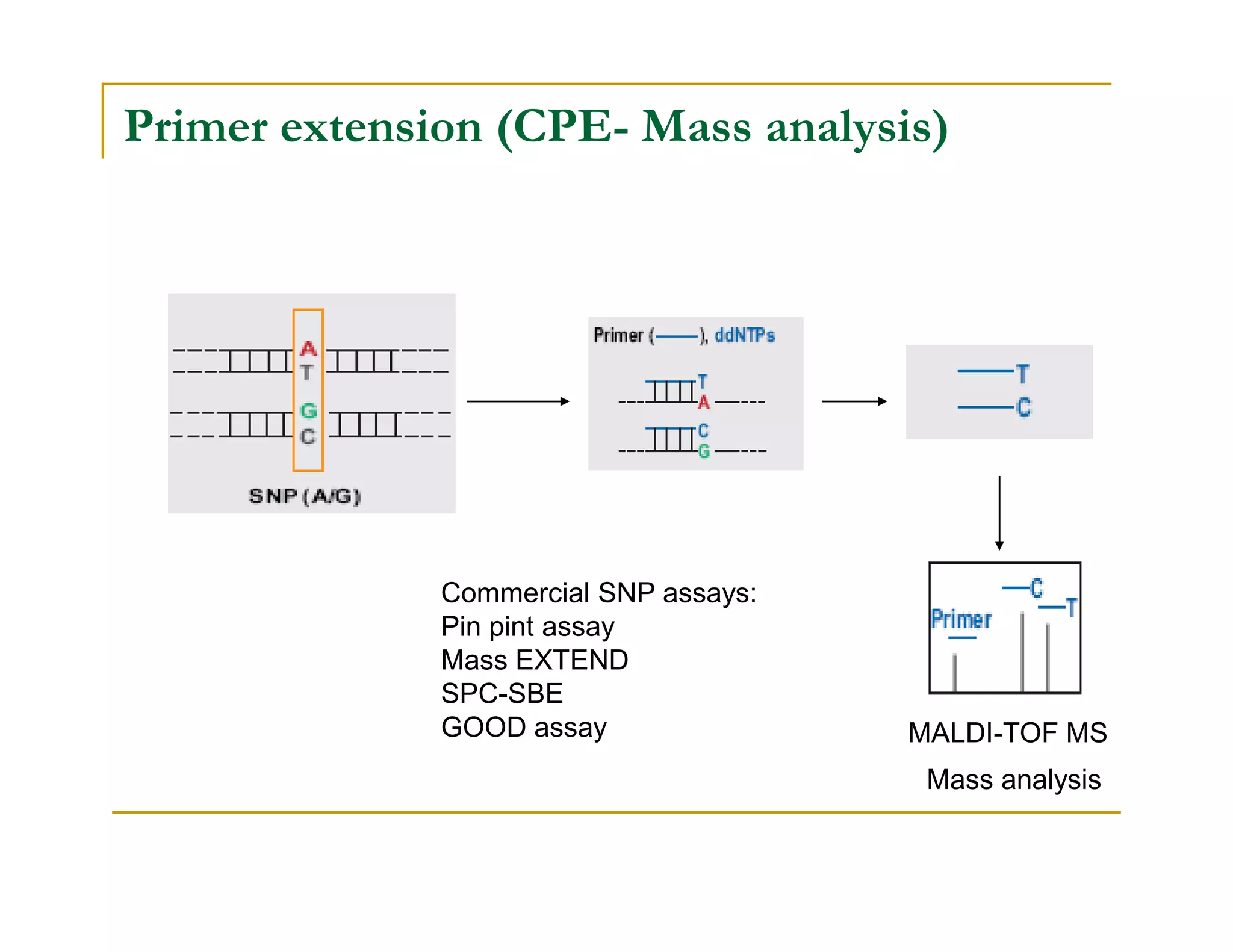 Primer extension (CPE- Mass analysis)
Mass analysis
MALDI-TOF MS
Commercial SNP assays:
Pin pint assay
Mass EXTEND
SPC-SBE
GOOD assay
 