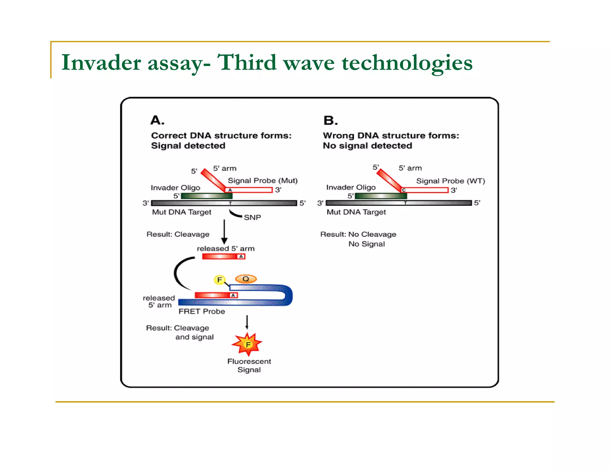 Invader assay- Third wave technologies
 