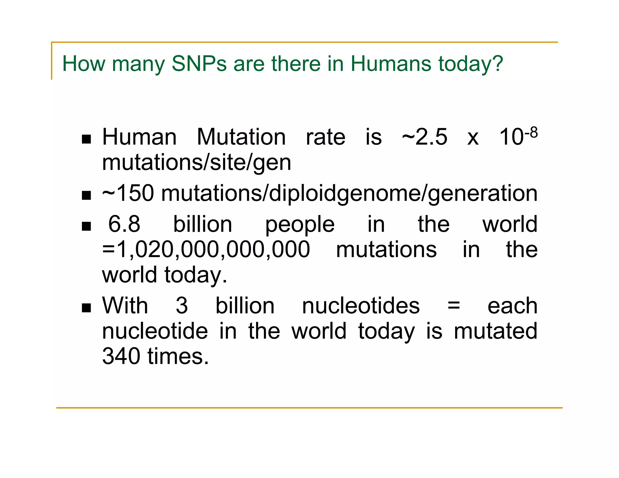 How many SNPs are there in Humans today?
Human Mutation rate is ~2.5 x 10-8
mutations/site/gen
~150 mutations/diploidgenome/generation
6.8 billion people in the world
=1,020,000,000,000 mutations in the=1,020,000,000,000 mutations in the
world today.
With 3 billion nucleotides = each
nucleotide in the world today is mutated
340 times.
 