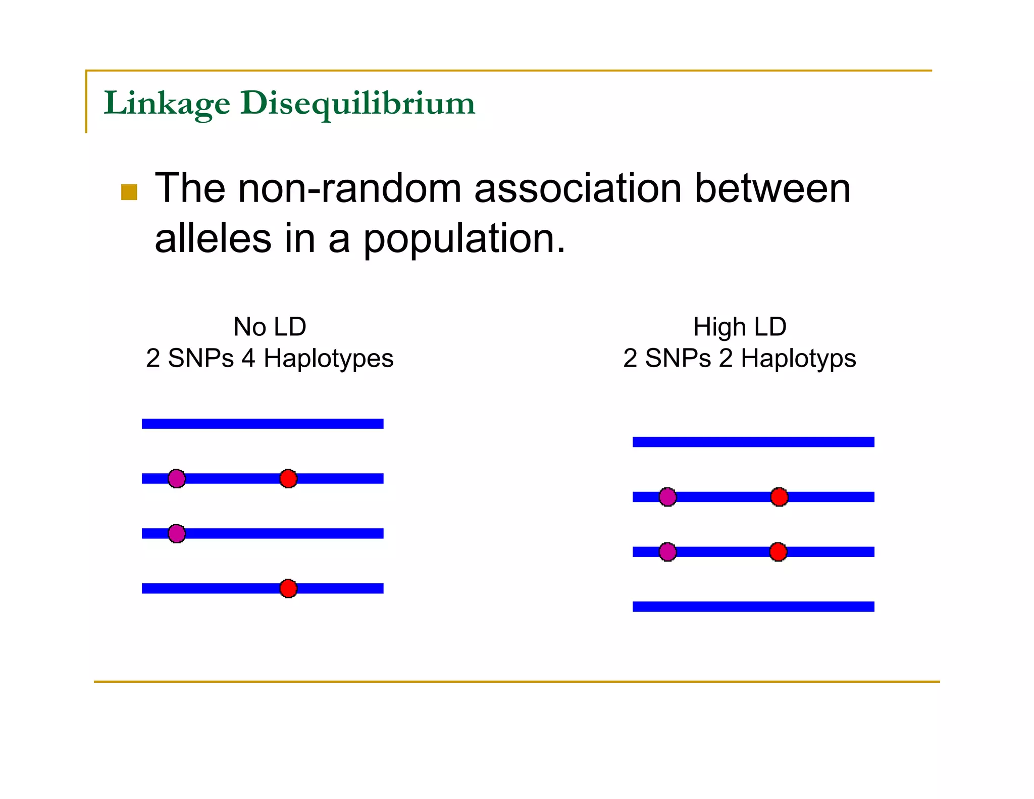 Linkage Disequilibrium
The non-random association between
alleles in a population.
No LD
2 SNPs 4 Haplotypes
High LD
2 SNPs 2 Haplotyps
 
