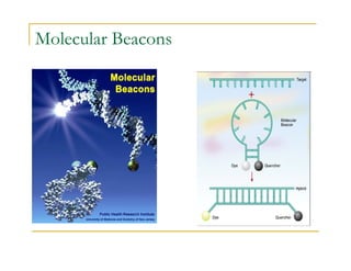 Molecular Beacons
 