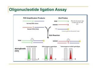 Oligonucleotide ligation Assay
 