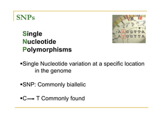 SNPs
Single
Nucleotide
Polymorphisms
Single Nucleotide variation at a specific locationSingle Nucleotide variation at a specific location
in the genome
SNP: Commonly biallelic
C T Commonly found
 