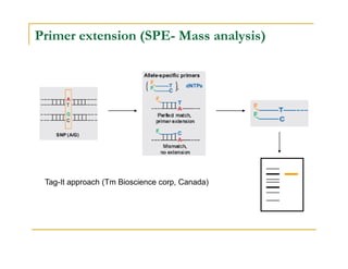 Primer extension (SPE- Mass analysis)
Tag-It approach (Tm Bioscience corp, Canada)
 