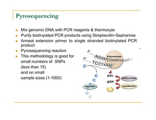Pyrosequencing
Mix genomic DNA with PCR reagents & thermocyle
Purify biotinylated PCR products using Streptavidin-Sepharose
Anneal extension primer to single stranded biotinylated PCR
product
Pyrosequencing reaction
This methodology is good for
small numbers of SNPssmall numbers of SNPs
(less than 15)
and on small
sample sizes (1-1000)
 