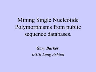 Mining Single Nucleotide Polymorphisms from public sequence databases. Gary Barker  IACR Long Ashton 