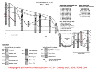 Stratigraphie et datations au radiocarbone 14C. In : Dillehay et al., 2015. PLOS One
 
