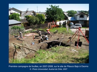Première campagne de fouilles, en 2007-2008, sur le site de Pilauco Bajo à Osorno
© Photo Universidad Austral de Chile, 20...