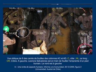 Vue oblique de 8 des carrés de fouilles des colonnes AC et AD. C, côte ; HL, os long ;
CR, Crâne. À gauche, Leonora Salvad...