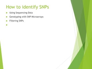 Snp Check Tutorial SNP ppt.pptx